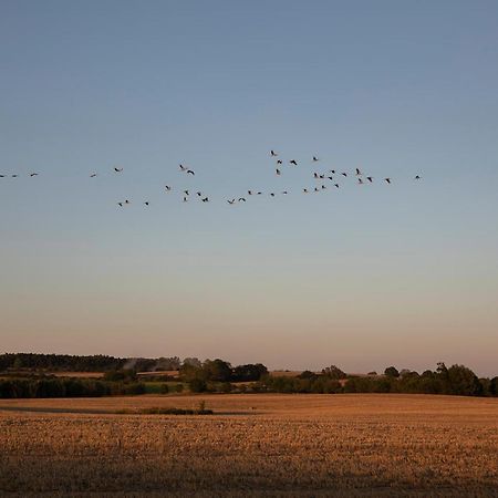 Mitten In Der Natur : Ferienwohnung Mit 3 Schlafzimmern, Neu Eingerichtet Neu Gaarz Kültér fotó